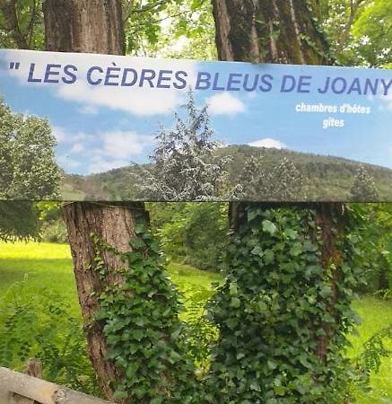 Cedres Bleus De Joany Chez Nathalie Viviez Eksteriør billede